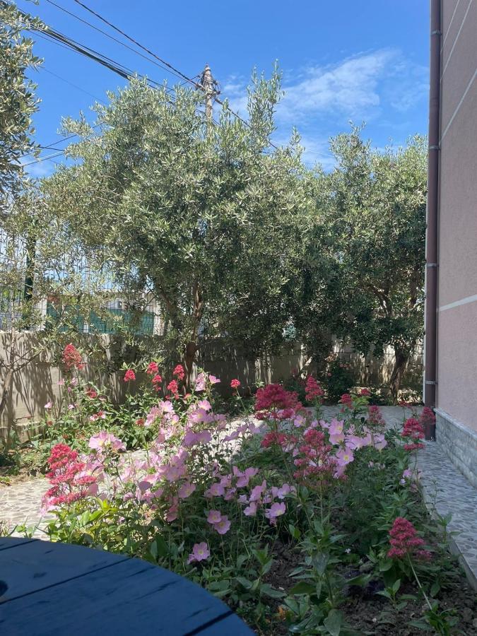 Rent Rooms Loren Vlorë Exterior foto
